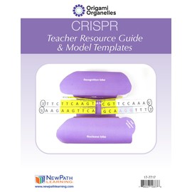 CRISPR 3-D Model - Individual Student Edition (17-7717)