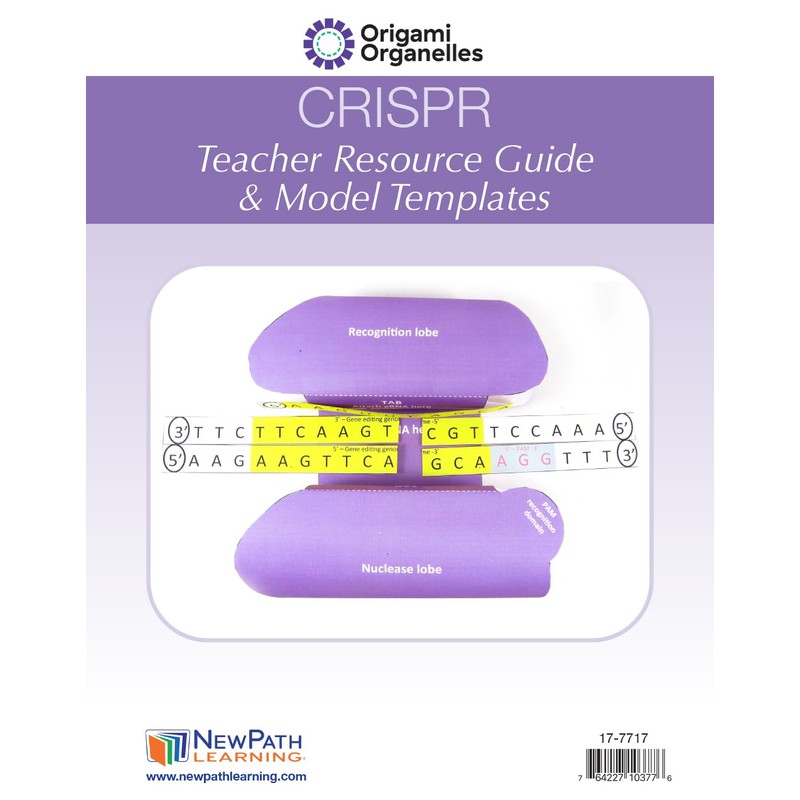 CRISPR 3-D Model - Individual Student Edition (17-7717)