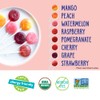 YumEarth Organic Pops Variety Pack, 50 Fruit Flavored Favorites Lollipops,