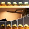 Bemelux LED Architect Desk Lamp, 2500 Lumens, Dimmable, Metal Swing