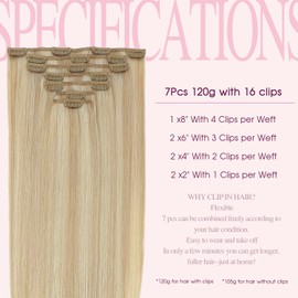 PINKPEARL Clip in Hair Extensions #27P60 Caramel Blonde Highlighted Platinum Blonde 120g 7pcs 14 Inch Clip in Hair Extensions Real Human Hair Hair Extension Clip Ins(#27P60-14)