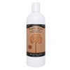 Plantlife Patchouli Hand & Body Foam Soap - 16oz Refill