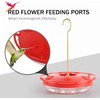 eWonLife 2 Pack 16 oz Saucer Hummingbird Feeders for Outdoors,