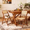 Rattan Dining Chairs Walnut Natural Resin Rattan Chair Foldable 2