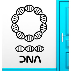 DNA Wall Stickers Genealogy Biology Chemistry School Science Vinyl Decal (ig2425)
