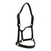 Huntley Equestrian Fancy Stitched Adjustable Premium Leather Pony Halter with