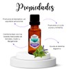 Aceite Esencial de Pachuli - Patchouli Natural Puro Aromaterapia