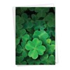 NobleWorks Lucky Clovers - St. Patrick's Day Greeting Card with