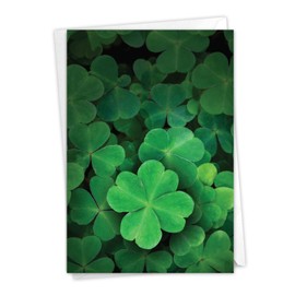 NobleWorks Lucky Clovers - St. Patrick's Day Greeting Card with Envelope (4.63 x 6.75 Inch) - C9079DSPG
