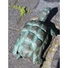 H. Packmor GmbH Bronze Tortoise Gargoyle Pond Figure Fountain Figurine