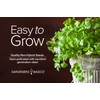 Cilantro Seeds for Planting Heirloom Non-GMO Herb Coriander Plant Seeds