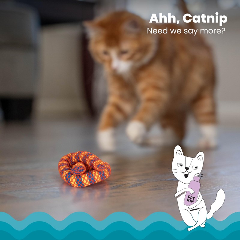 Catstages Plaque Away Pretzel Cat Toy – Interactive Catnip Dental