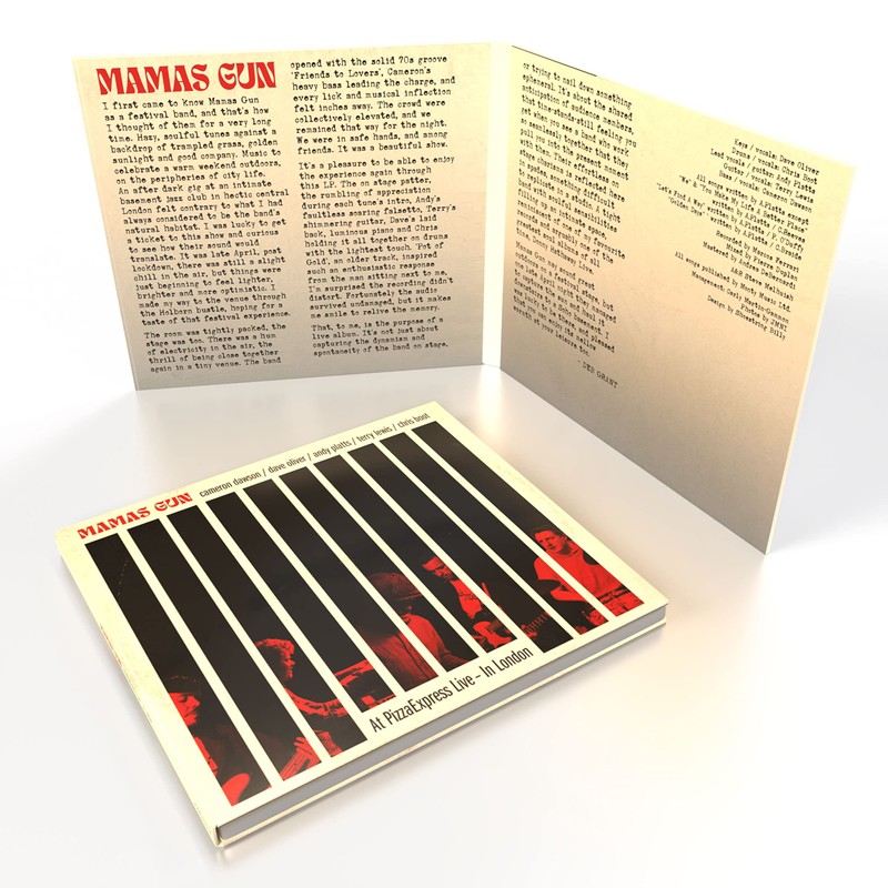 Mamas Gun At Pizzaexpress Live In London