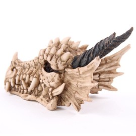 Puckator Dragon Skull Money Box - Mystery Lock Box - Fantasy Coin Piggy Bank Savings Challange - Money Pot - Kids Safe - Cool Things - Money Safe - Resin