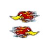 Quattroerre 14206 3D Sticker Woodpecker and Flames