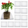 10 Pcs Root Guard Gopher Proof Wire Basket Stainless Steel