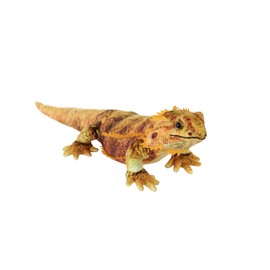 Wild Republic Living Earth Bearded Dragon, Stuffed Animal, 24 inch, Plush Toy, Fill is Spun Recycled Water Bottles