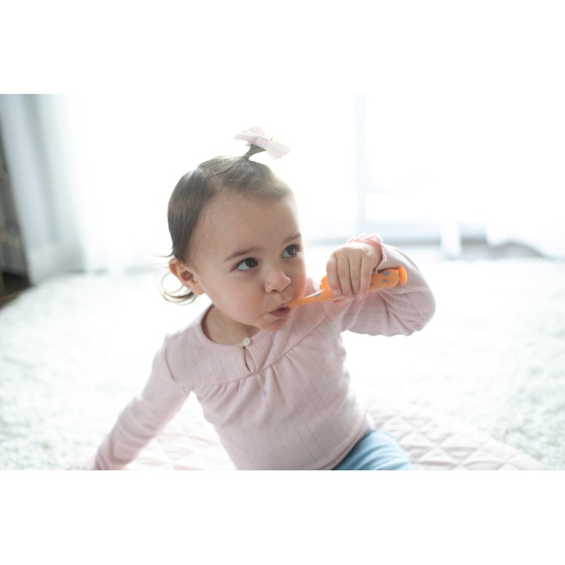 CEPILLO DE DIENTES NUTRIA