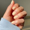 Lement Color Nail 14ml - Double use basecoat (Renewal)