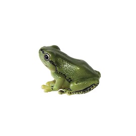 マグネット レプティスマグ ツリーフロッグ (アマガエル) 2.5×4×3cm グリーン
