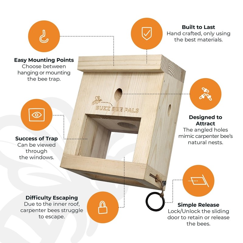 Carpenter Bee Traps for Outside - Carpenter Bee Patrol Trap