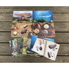 Prehistoric Teeth – Explore and Discover Activity Cards