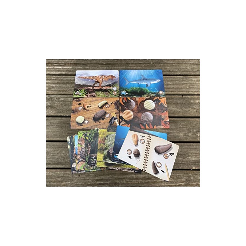 Prehistoric Teeth – Explore and Discover Activity Cards