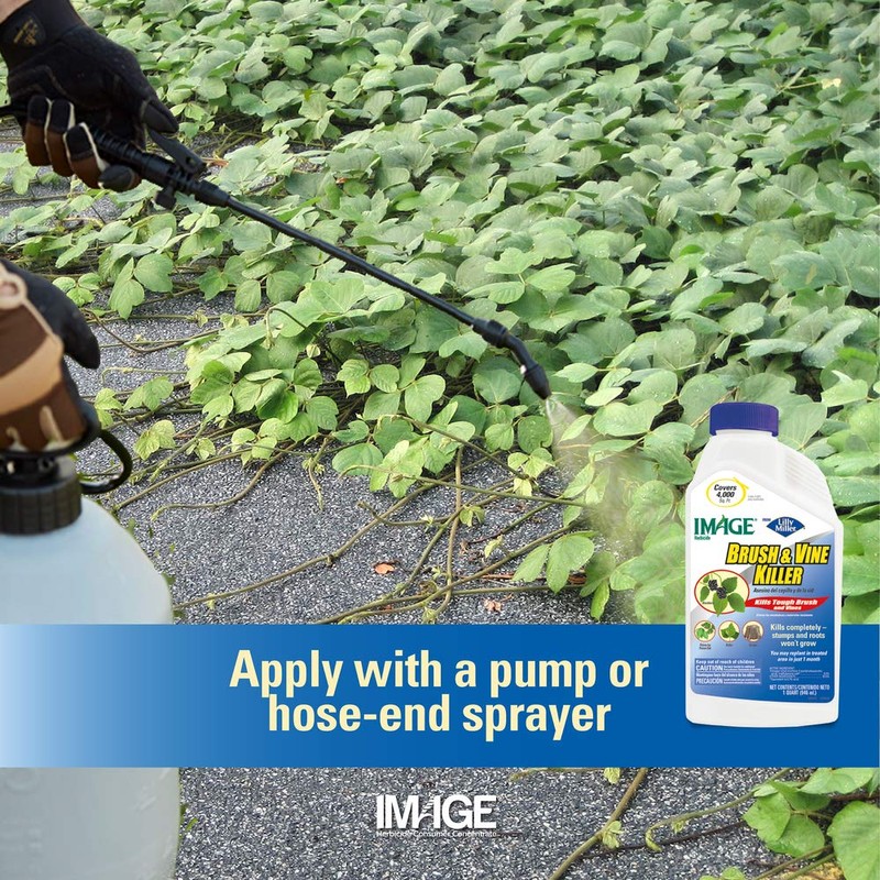 Image Brush & Vine Killer Concentrate, 32 oz