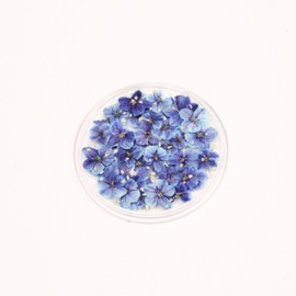 1 Boxes 50 pcs Nail Drying Flower, DIY, 3D Nail art, Plant Theme, Irregular Shape, Flower Stickers Suitable for Nail Care and Small Natural Nail Decoration, Nail Accessories. (Melbourne Midnight Blue)