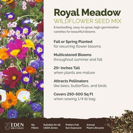 Eden Brothers Royal Meadow Flower Mixed Seeds for Planting, 1/4 lb, 120,000+ Seeds with Morning Glory, African Daisy | Attracts Pollinators, Plant in Spring or Fall, Zones 3, 4, 5, 6, 7, 8, 9, 10