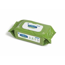 Generic Wet Wipes 6 Packs of 100 Count