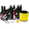 Honda 2020-2025 Honda Foreman Rubicon TRX520 FM OEM Complete Service Kit H134