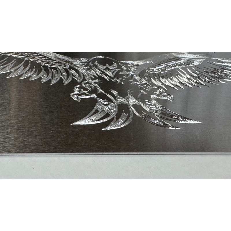 Engraved US American 3D Fierce Eagle Diamond Etched Silver Car