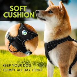 Ziggy Pet Dog Harness Adjustable Nylon Mesh Vest with Leash Clips (Black, Medium)