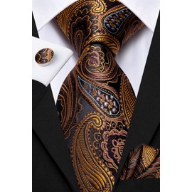 Hi-Tie Silk Paisley Ties for Men Necktie Pocket Square Cufflinks Set Foral Tie Sets Formal Business,Brown Gold