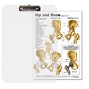 Hand, Foot, Shoulder, Hip Support Card Chart with clipboard Set.