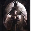 Anne Stokes Gothic Tarot Cards (78 Sheets)