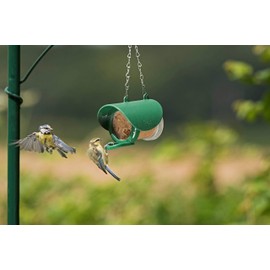 Wildlife Sciences Flutter Butter Suet Pack, 3 Jars of Flutter Butter Fruity Suet (Buggy)