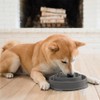 Outward Hound Fun Feeder Slo Bowl, Slow Feeder Dog Bowl,