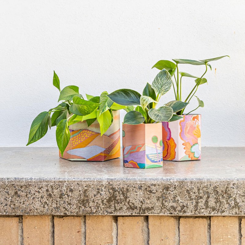 Sow N Sow Pop Up Pot, Yonder 1 Unit