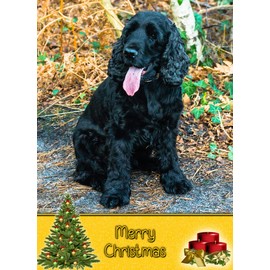 Cocker Spaniel Dog Christmas Card 'Merry Christmas' - Special Animal Xmas Card for Him Her from Pets Kids