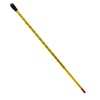 12" Laboratory Thermometer