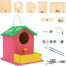 Bird House Kits for Adult, Wooden DIY Birdhouse Kit, Outdoor Woodworking Crafts Freestyle Painting, Arts and Crafts Projects with Paints & Brushes, Hanging Birdhouse for Garden Yard Decor Gifts (2Pcs)