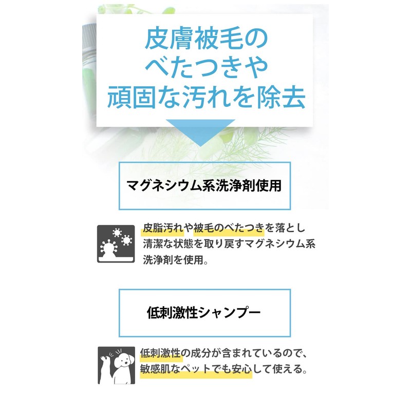 P. Piedot Oil Control Basic Shampoo 16.9 fl oz (500