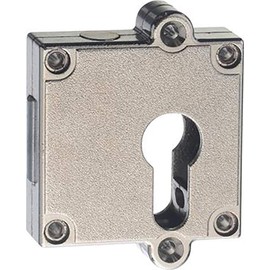 Format 4021677059197 – Riegelschloss Dorn 40 mm PZ