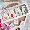 JOHOPACK 5pcs Cookie Boxes 12 x 5 x 1.5 Inch