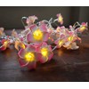 Lxcom Lighting LED Flower String Lights 19ft 40 LEDs Artificial