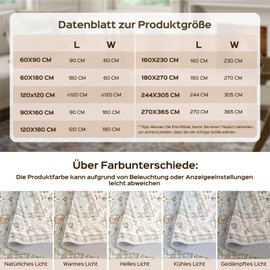 WITSHOCK Indoor Mat, Washable Small Entrance Area Rug 61 x 91 cm, Entrance Mat 61 x 91 cm, Soft, Foldable, Ultra Thin Mat, Indoor Floor Mat for Entrance Area