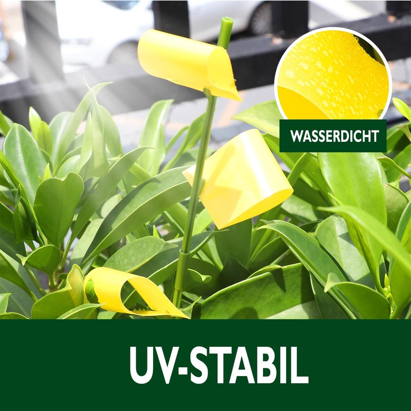 Garsum 42 Traps Sticky Houseplant Traps Gnat Yellow Insect Trap