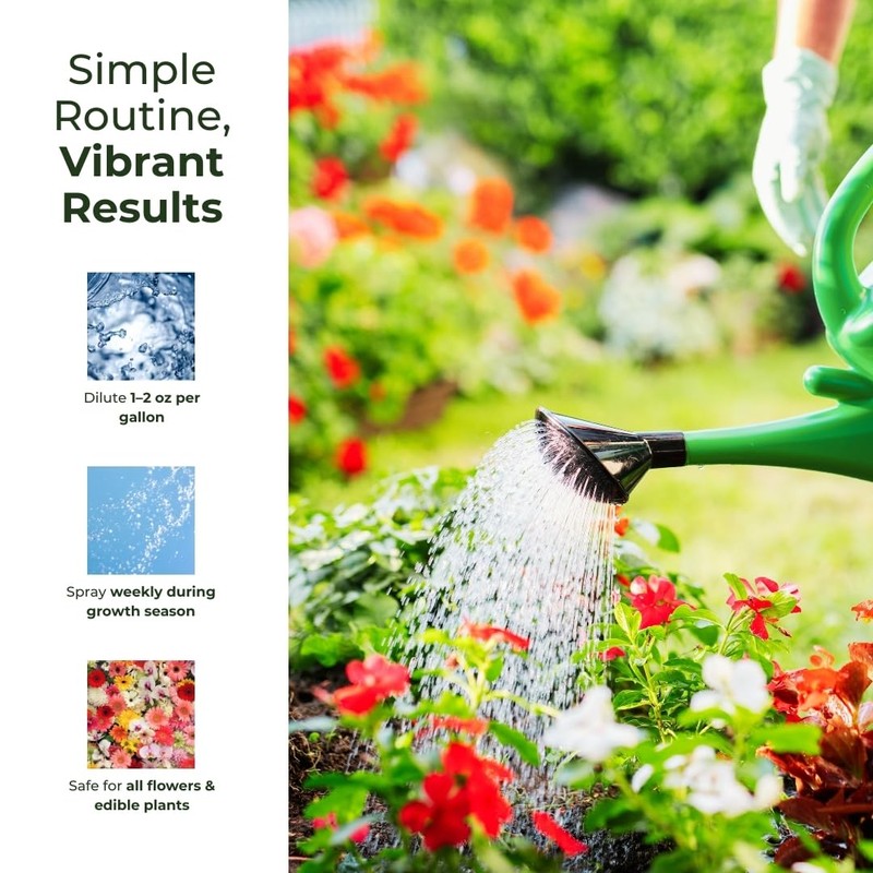 2 Pack Bloom Up Microbial Soil Amendment – Organic Plant